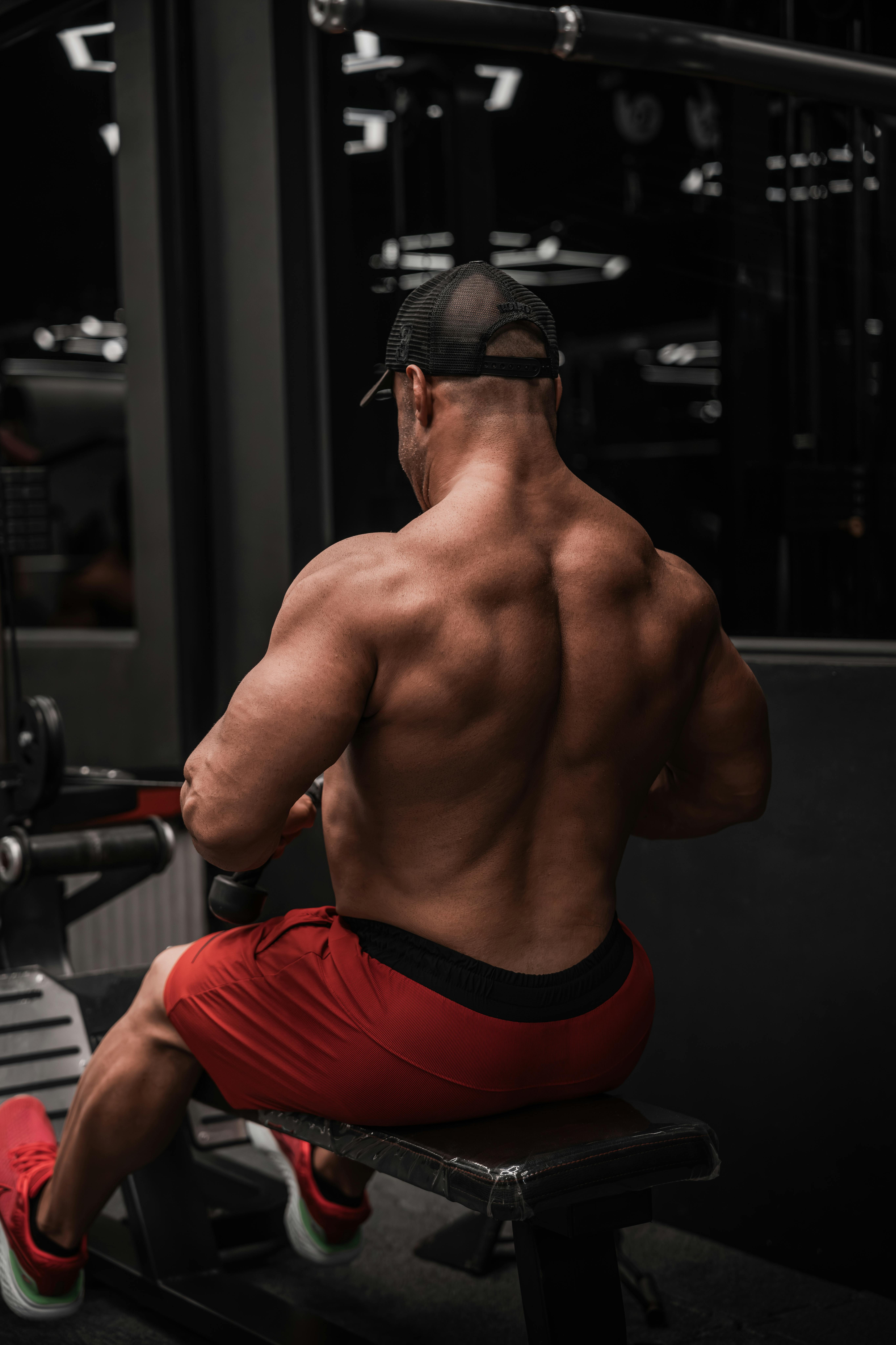 Muscle Gain Program